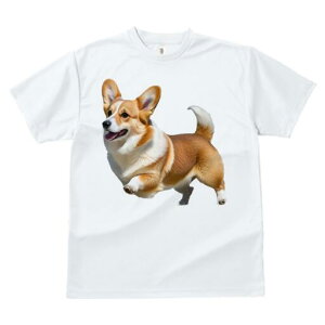 R[M[ TVc fB[X t@  t  vg JWA 킢 lԗp h ̃fUC ʔ Ȃ R[M[