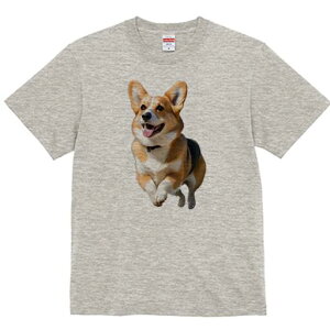 R[M[ TVc fB[X t@  t  vg JWA 킢 lԗp h ̃fUC ʔ R[M[