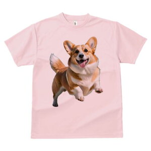 R[M[ TVc fB[X t@  t  vg JWA 킢 lԗp h ̃fUC ʔ Ί R[M[ Wv