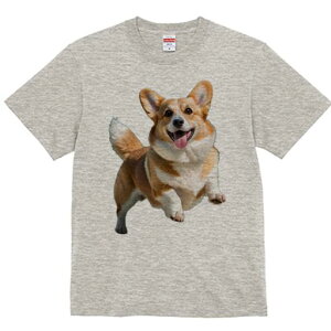 R[M[ TVc fB[X t@  t  vg JWA 킢 lԗp h ̃fUC ʔ Ί R[M[ Wv