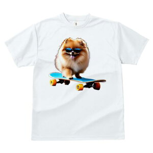 |jA TVc fB[X t@  t  vg JWA 킢 lԗp h ̃fUC ʔ XP[g{[h |jA TOX