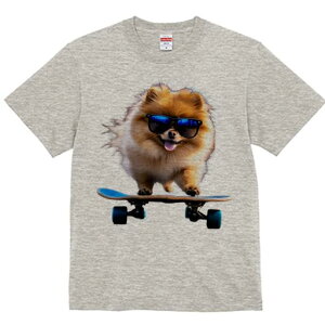 |jA TVc fB[X t@  t  vg JWA 킢 lԗp h ̃fUC ʔ XP[g{[h |jA TOX