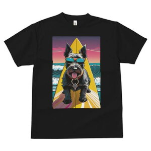 XReBbVeA TVc fB[X t@  t  vg JWA 킢 lԗp h ̃fUC ʔ T[t{[h XReBbVeA C g TO