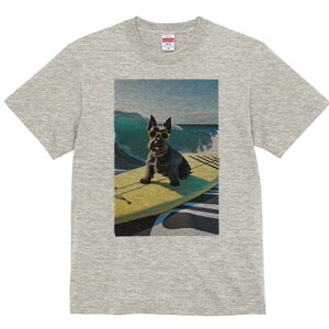 XReBbVeA TVc fB[X t@  t  vg JWA 킢 lԗp h ̃fUC ʔ g XReBbVeA T[tB TOX