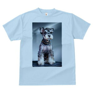 ~j`AViEU[ TVc fB[X t@  t  vg JWA 킢 lԗp h ̃fUC ʔ  ~j`AViEU[