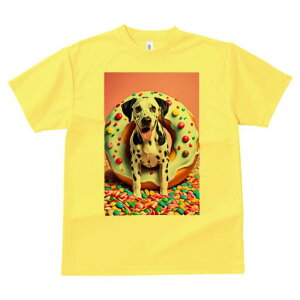 _VA TVc Y LbY t@  t  vg JWA 킢 lԗp h ̃fUC ʔ h[ic _VA XC[c LfB