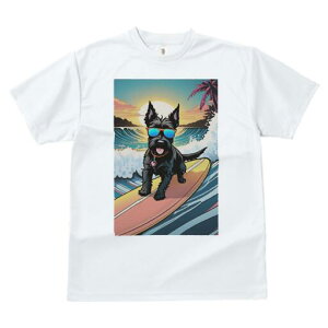 XReBbVeA TVc fB[X t@  t  vg JWA 킢 lԗp h ̃fUC ʔ T[tB XReBbVeA C  z