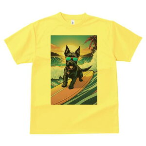 XReBbVeA TVc fB[X t@  t  vg JWA 킢 lԗp h ̃fUC ʔ T[tB XReBbVeA C  z