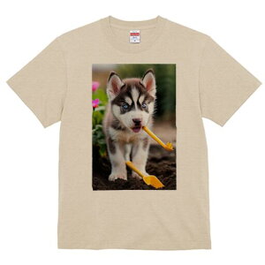 nXL[ TVc fB[X t@  t  vg JWA 킢 lԗp h ̃fUC ʔ y nXL[ XRbv 