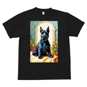 ViEU[ TVc Y LbY t@  t  vg JWA 킢 lԗp h ̃fUC ʔ  ViEU[ A  A[`