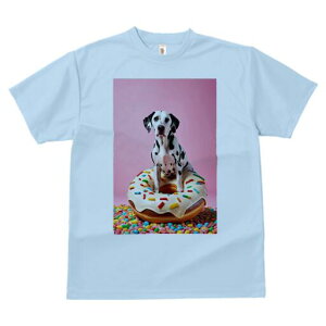 _VA TVc fB[X t@  t  vg JWA 킢 lԗp h ̃fUC ʔ h[ic _VA XvN XC[c َq