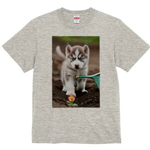 nXL[ TVc fB[X t@  t  vg JWA 킢 lԗp h ̃fUC ʔ  nXL[  傤 y