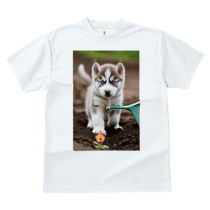 nXL[ TVc Y LbY t@  t  vg JWA 킢 lԗp h ̃fUC ʔ  nXL[  傤 y