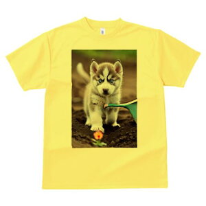 nXL[ TVc fB[X t@  t  vg JWA 킢 lԗp h ̃fUC ʔ  nXL[  傤 y