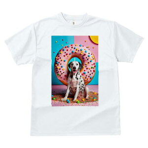 _VA TVc fB[X t@  t  vg JWA 킢 lԗp h ̃fUC ʔ h[ic _VA XvN Jt XC[c