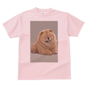 `E`E TVc fB[X t@  t  vg JWA 킢 lԗp h ̃fUC ʔ ӂӂ `E`E 킢  ʂ