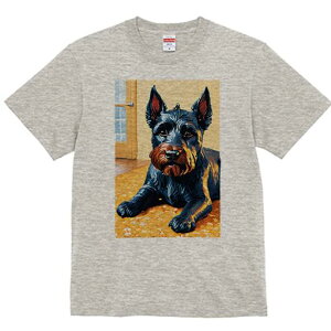 ViEU[ TVc fB[X t@  t  vg JWA 킢 lԗp h ̃fUC ʔ  ViEU[ J[ybg hA