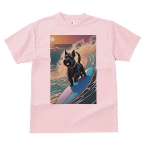 XReBbVeA TVc fB[X t@  t  vg JWA 킢 lԗp h ̃fUC ʔ g XReBbVeA T[tB C z