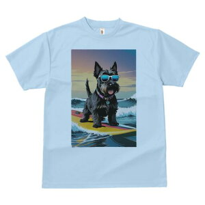 XReBbVeA TVc fB[X t@  t  vg JWA 킢 lԗp h ̃fUC ʔ TOX XReBbVeA T[tB C 