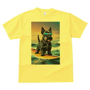 XReBbVeA TVc fB[X t@  t  vg JWA 킢 lԗp h ̃fUC ʔ TOX XReBbVeA T[tB C 