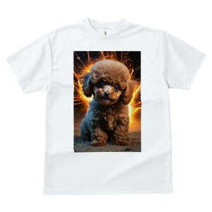 gCv[h TVc fB[X t@  t  vg JWA 킢 lԗp h ̃fUC ʔ wi gCv[h