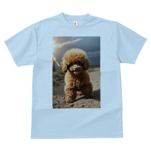 gCv[h TVc fB[X t@  t  vg JWA 킢 lԗp h ̃fUC ʔ 킢 gCv[h q ybg 