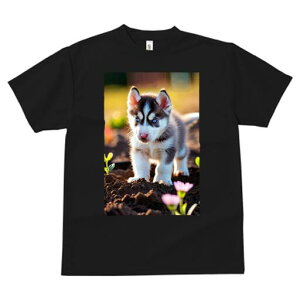 nXL[ TVc fB[X t@  t  vg JWA 킢 lԗp h ̃fUC ʔ  nXL[ y