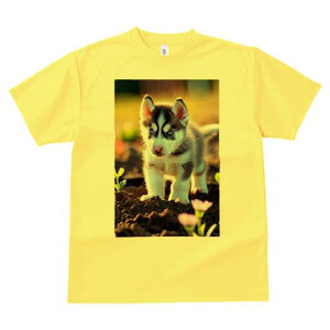 nXL[ TVc fB[X t@  t  vg JWA 킢 lԗp h ̃fUC ʔ  nXL[ y