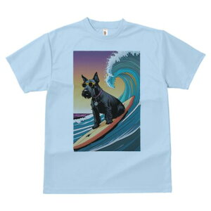 XReBbVeA TVc fB[X t@  t  vg JWA 킢 lԗp h ̃fUC ʔ g XReBbVeA T[tB TOX