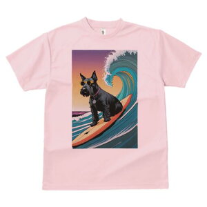 XReBbVeA TVc fB[X t@  t  vg JWA 킢 lԗp h ̃fUC ʔ g XReBbVeA T[tB TOX