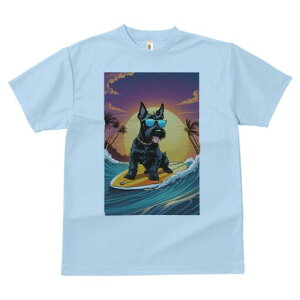 XReBbVeA TVc fB[X t@  t  vg JWA 킢 lԗp h ̃fUC ʔ T[tB XReBbVeA C g z