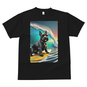 XReBbVeA TVc fB[X t@  t  vg JWA 킢 lԗp h ̃fUC ʔ g XReBbVeA T[tB TOX