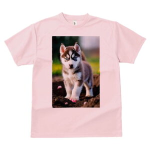 nXL[ TVc fB[X t@  t  vg JWA 킢 lԗp h ̃fUC ʔ q nXL[ 킢  ӂӂ