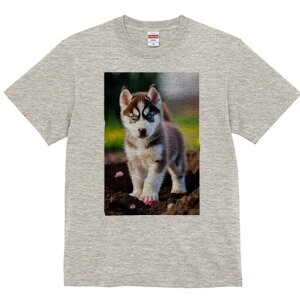 nXL[ TVc fB[X t@  t  vg JWA 킢 lԗp h ̃fUC ʔ q nXL[ 킢  ӂӂ