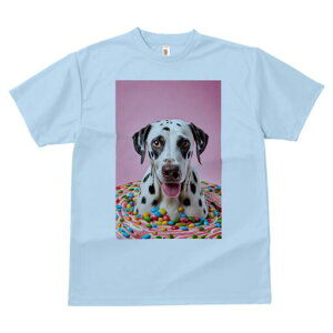 _VA TVc fB[X t@  t  vg JWA 킢 lԗp h ̃fUC ʔ LfB _VA XC[c sN