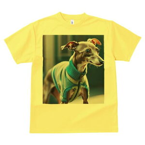 C^AO[nEh TVc fB[X t@  t  vg JWA 킢 lԗp h ̃fUC ʔ  C^AO[nEh Z[^[ W