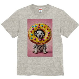 _VA TVc fB[X t@  t  vg JWA 킢 lԗp h ̃fUC ʔ h[ic _VA XC[c  sN