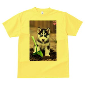 nXL[ TVc fB[X t@  t  vg JWA 킢 lԗp h ̃fUC ʔ Vx nXL[ y