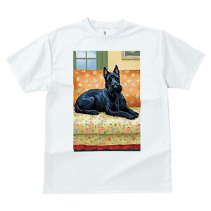 XReBbVeA TVc fB[X t@  t  vg JWA 킢 lԗp h ̃fUC ʔ  XReBbVeA \t@ ԕ