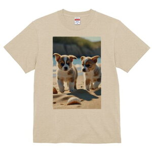 R[M[ TVc fB[X t@  t  vg JWA 킢 lԗp h ̃fUC ʔ r[` R[M[ C  Lk