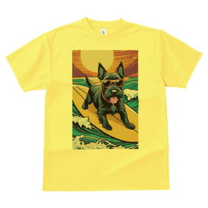 XReBbVeA TVc fB[X t@  t  vg JWA 킢 lԗp h ̃fUC ʔ T[tB XReBbVeA C g TO