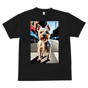 EGXgnChzCgeA TVc Y LbY t@  t  vg JWA 킢 lԗp h ̃fUC ʔ X EGXgnChzCg