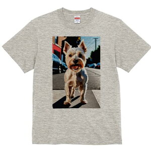 EGXgnChzCgeA TVc fB[X t@  t  vg JWA 킢 lԗp h ̃fUC ʔ X EGXgnChzCge