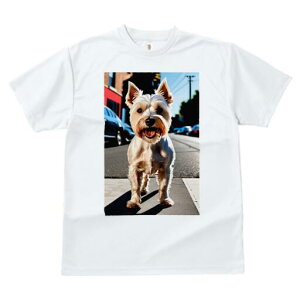 �E�G�X�g�n�C�����h�z���C�g�e���A T�V���c ���f�B�[�X ���t�@�� ���� �t�� ���� �v�����g �J�W���A�� ���킢�� �l�ԗp ���h ���������̃f�U�C�� �ʔ� �X �E�G�X�g�n�C�����h�z���C�g�e��