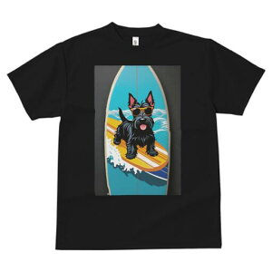 XReBbVeA TVc fB[X t@  t  vg JWA 킢 lԗp h ̃fUC ʔ T[t{[h XReBbVeA C g TO