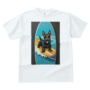 XReBbVeA TVc fB[X t@  t  vg JWA 킢 lԗp h ̃fUC ʔ T[t{[h XReBbVeA C g TO