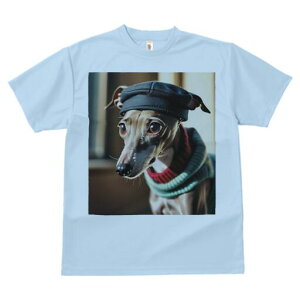 C^AO[nEh TVc fB[X t@  t  vg JWA 킢 lԗp h ̃fUC ʔ Xq C^AO[nEh Z[^[