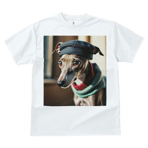 C^AO[nEh TVc fB[X t@  t  vg JWA 킢 lԗp h ̃fUC ʔ Xq C^AO[nEh Z[^[