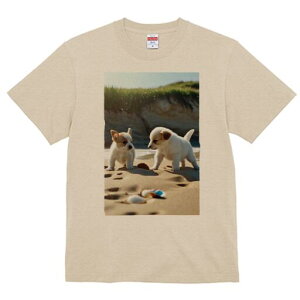 �W���b�N���b�Z���e���A T�V���c ���f�B�[�X ���t�@�� ���� �t�� ���� �v�����g �J�W���A�� ���킢�� �l�ԗp ���h ���������̃f�U�C�� �ʔ� �r�[�` �W���b�N���b�Z���e���A �C �� �L�k