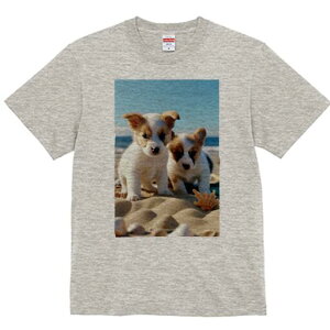 R[M[ TVc fB[X t@  t  vg JWA 킢 lԗp h ̃fUC ʔ r[` R[M[ C  Lk